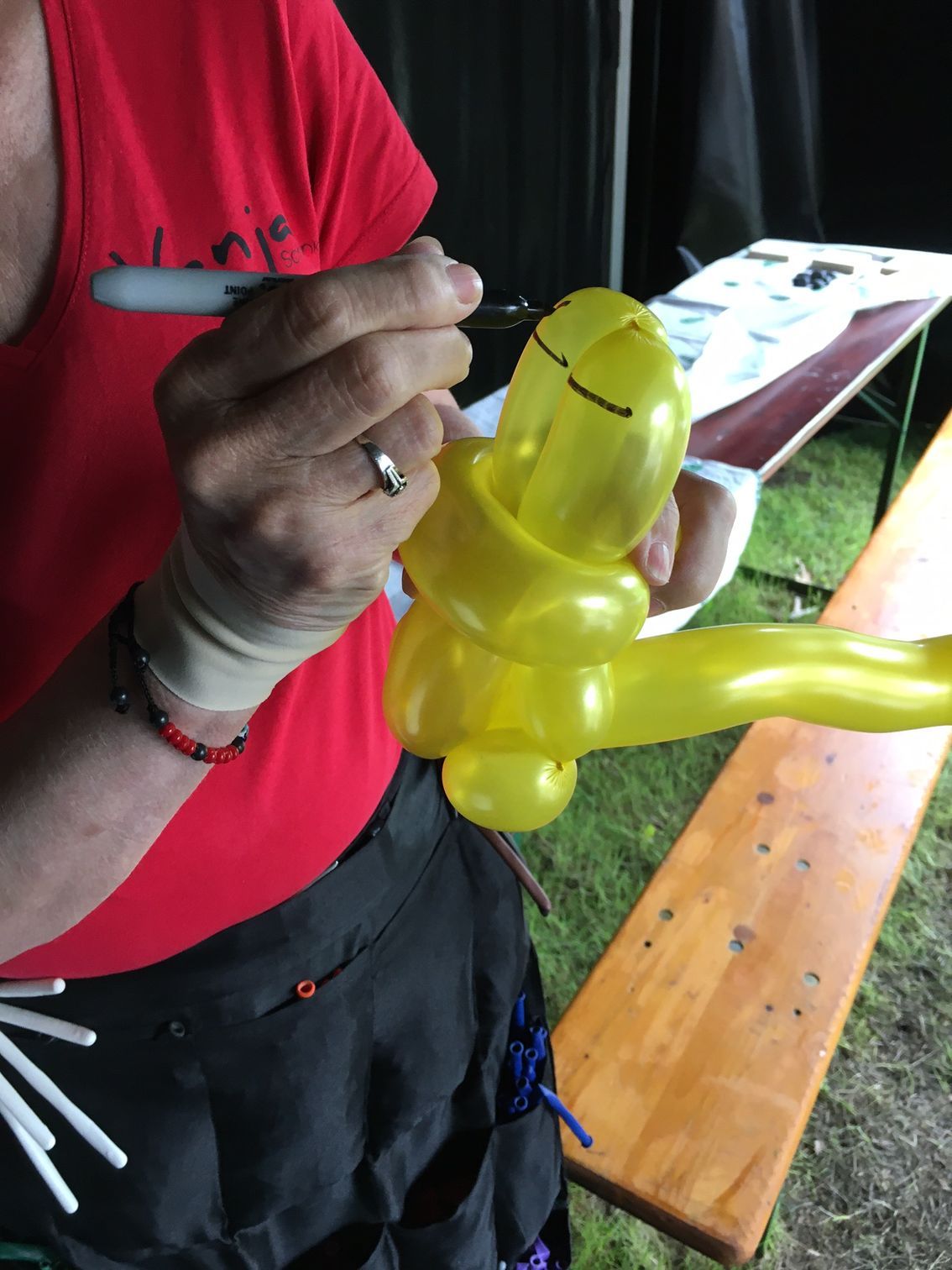 Ballonartiest Emmen, Assen, Borger, Musselkanaal, Stadskanaal, Eext, Exloo, Buinen, Hoogeveen, Leek, Roden