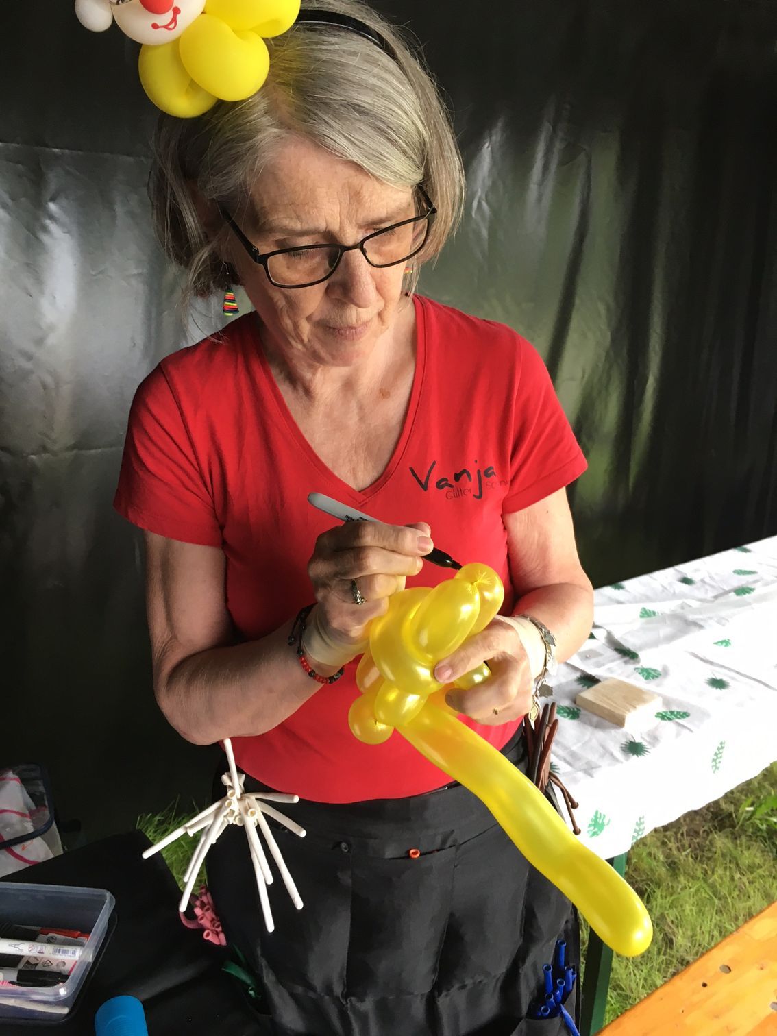 Ballonfiguren vouwen in Emmen, Assen, Borger, Musselkanaal, Stadskanaal, Eext, Exloo, Buinen, Hoogeveen, Leek, Roden