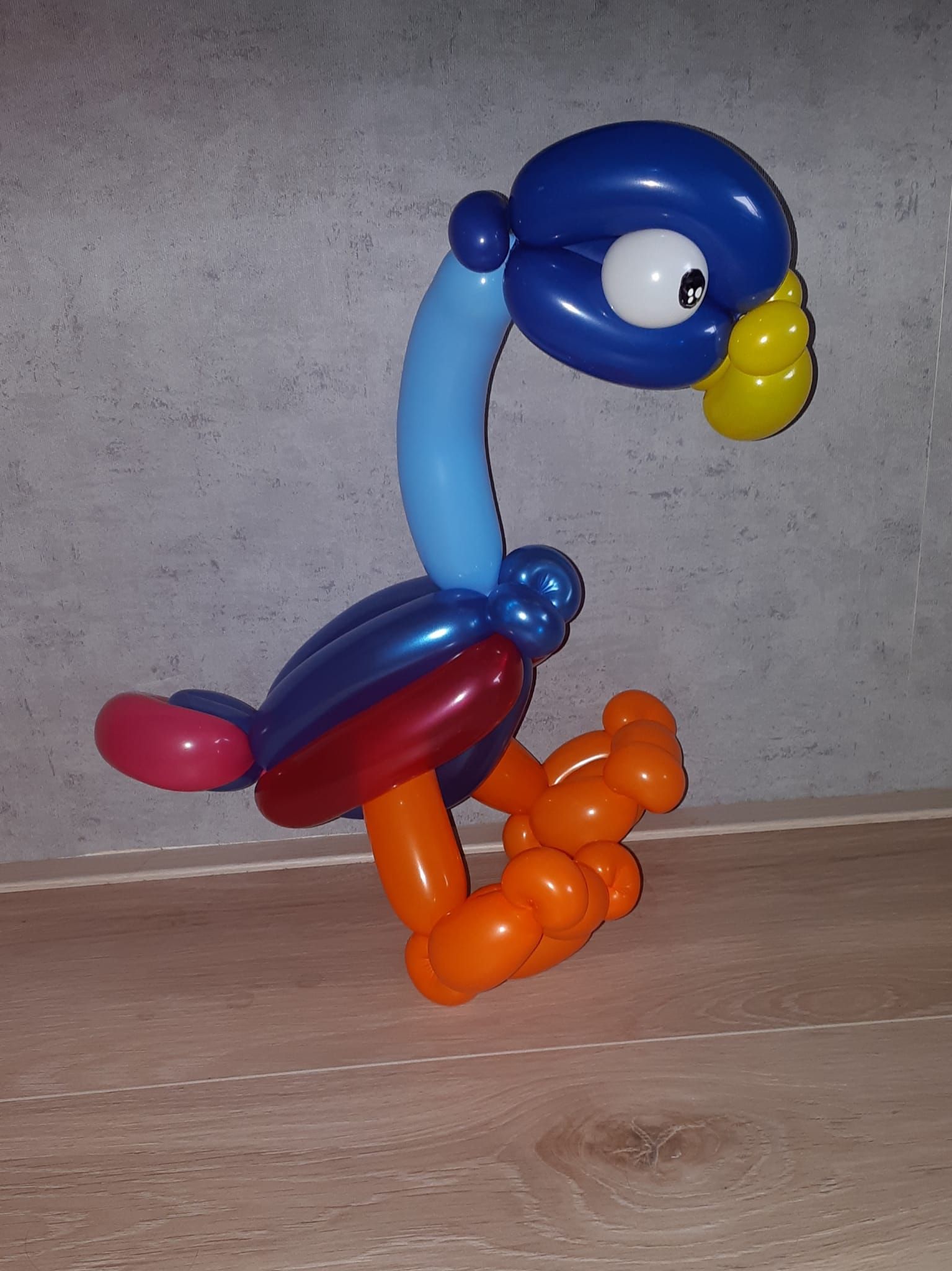 Ballonartiest Emmen, Assen, Borger, Musselkanaal, Stadskanaal, Eext, Exloo, Buinen, Hoogeveen, Leek, Roden