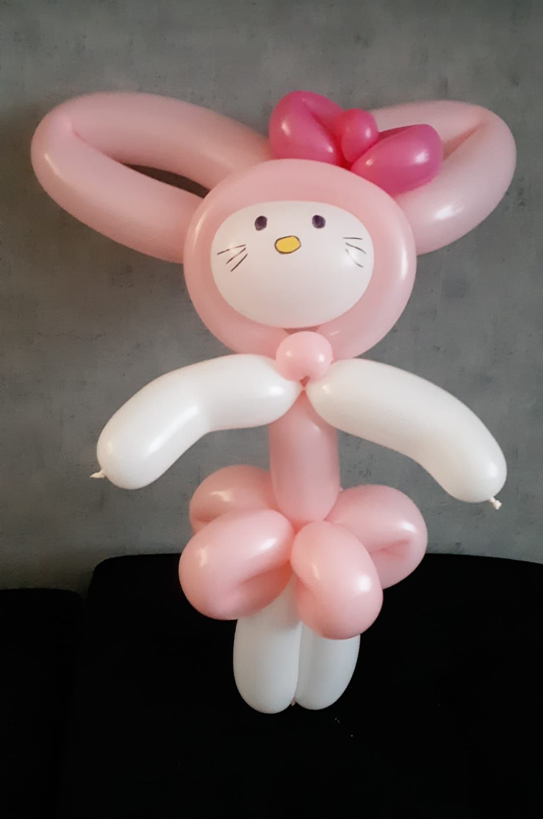 Ballonartiest Emmen, Assen, Borger, Musselkanaal, Stadskanaal, Eext, Exloo, Buinen, Hoogeveen, Leek, Roden