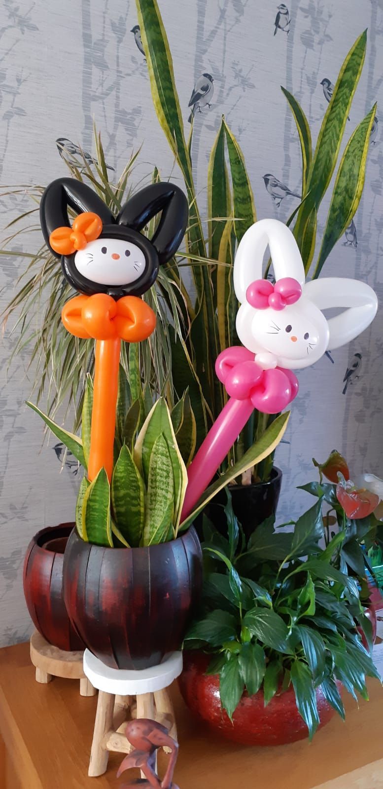 Ballonartiest Emmen, Assen, Borger, Musselkanaal, Stadskanaal, Eext, Exloo, Buinen, Hoogeveen, Leek, Roden