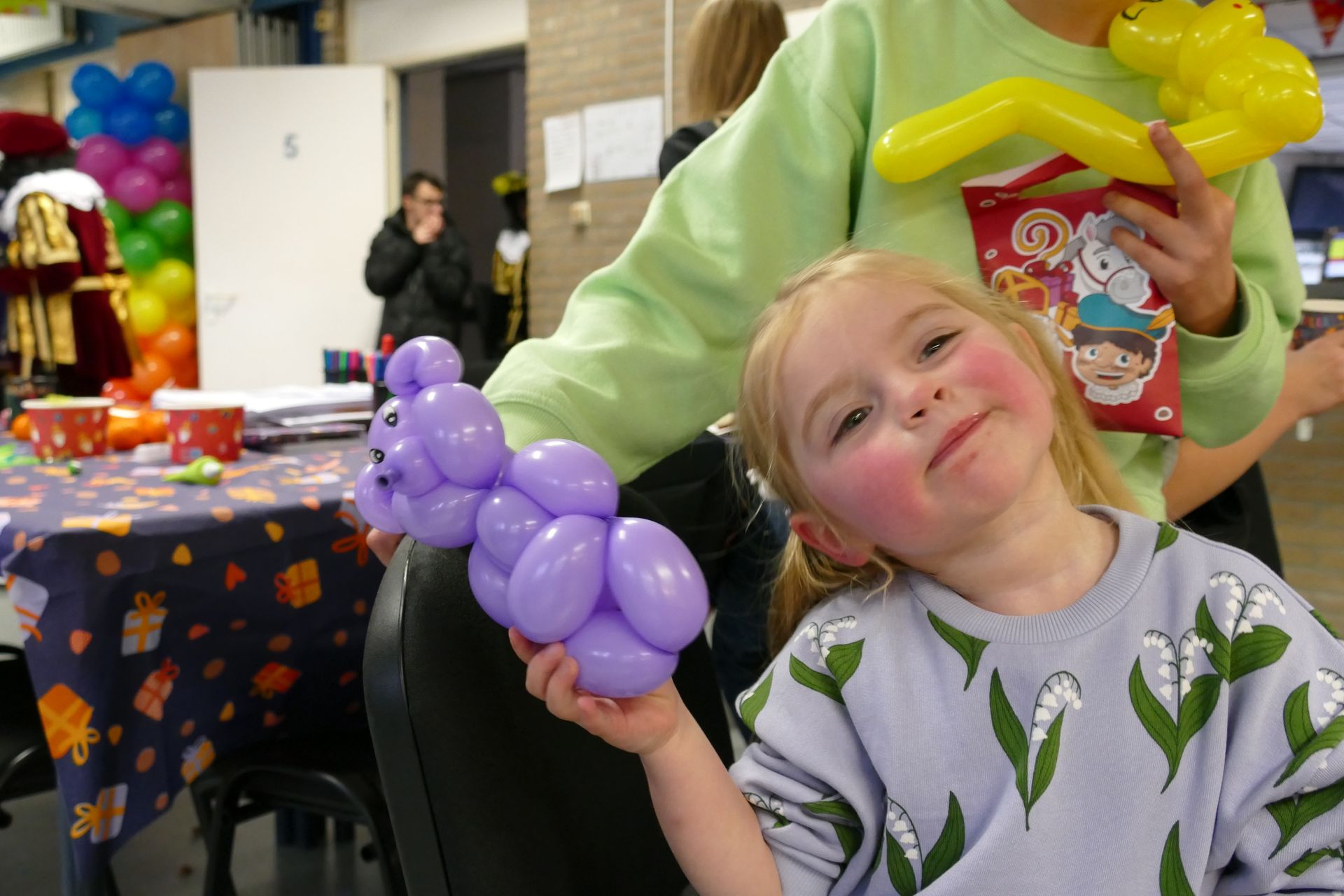 Ballonartiest Emmen, Assen, Borger, Musselkanaal, Stadskanaal, Eext, Exloo, Buinen, Hoogeveen, Leek, Roden