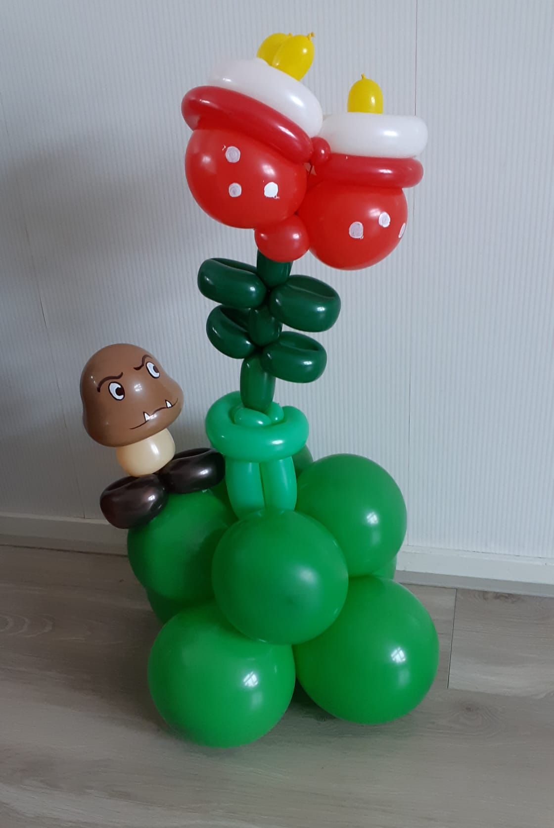 Ballonartiest Emmen, Assen, Borger, Musselkanaal, Stadskanaal, Eext, Exloo, Buinen, Hoogeveen, Leek, Roden