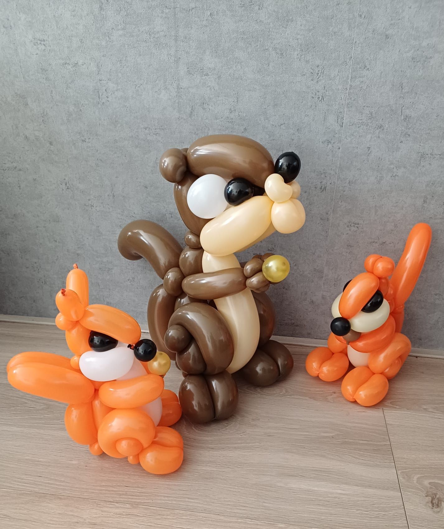 Ballonartiest Emmen, Assen, Borger, Musselkanaal, Stadskanaal, Eext, Exloo, Buinen, Hoogeveen, Leek, Roden