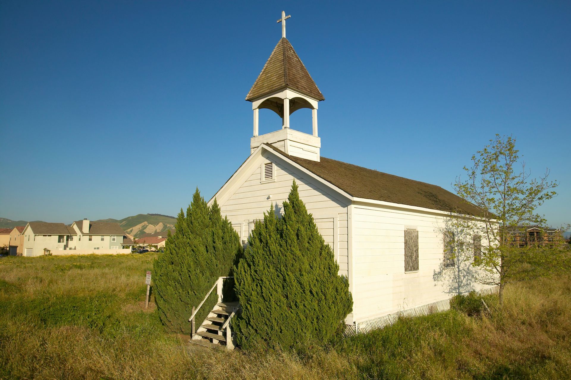 A close up of a palm tree leaf that looks like a fan