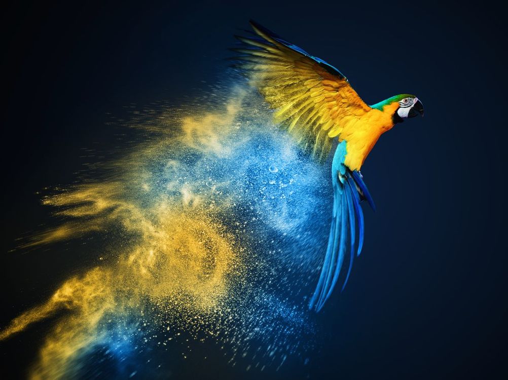 immagine post-prodotta raffigurante un pappagallo