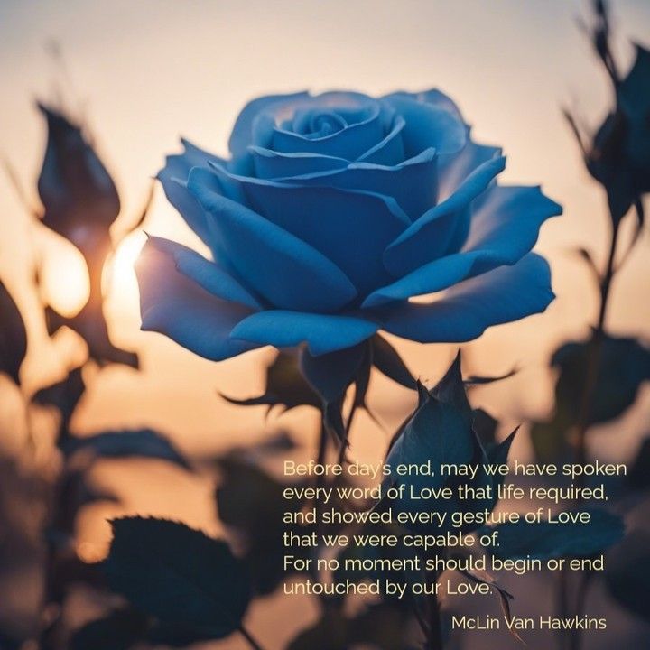 A blue rose with a quote by mclin van hawkins