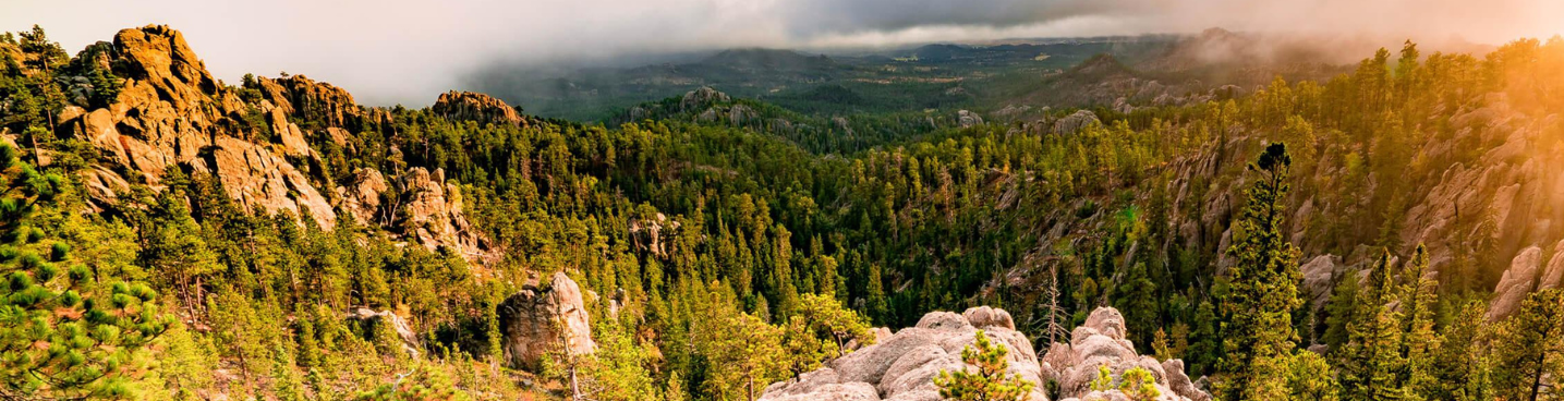 Panoramic view of rugged, rocky mountain slopes covered in pine trees under a cloudy sky at sunset.