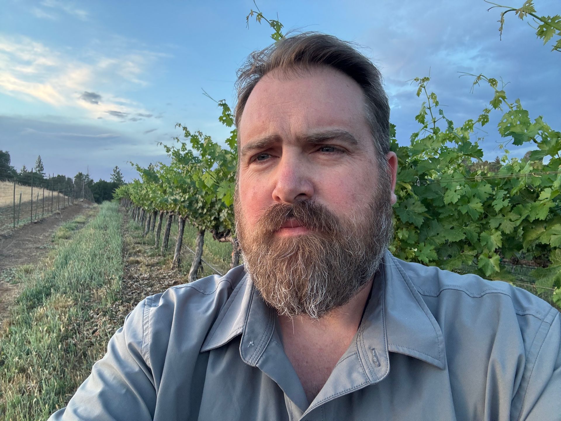 Man with a beard in a vineyard, looking off to the side under a cloudy sky.