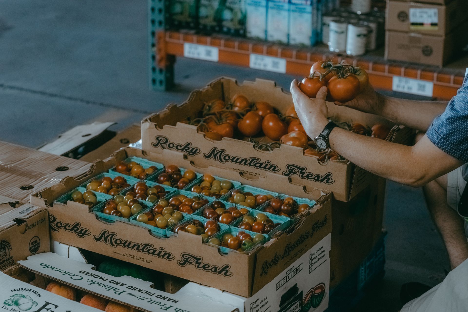 Person sorting tomatoes in cardboard boxes at a market.