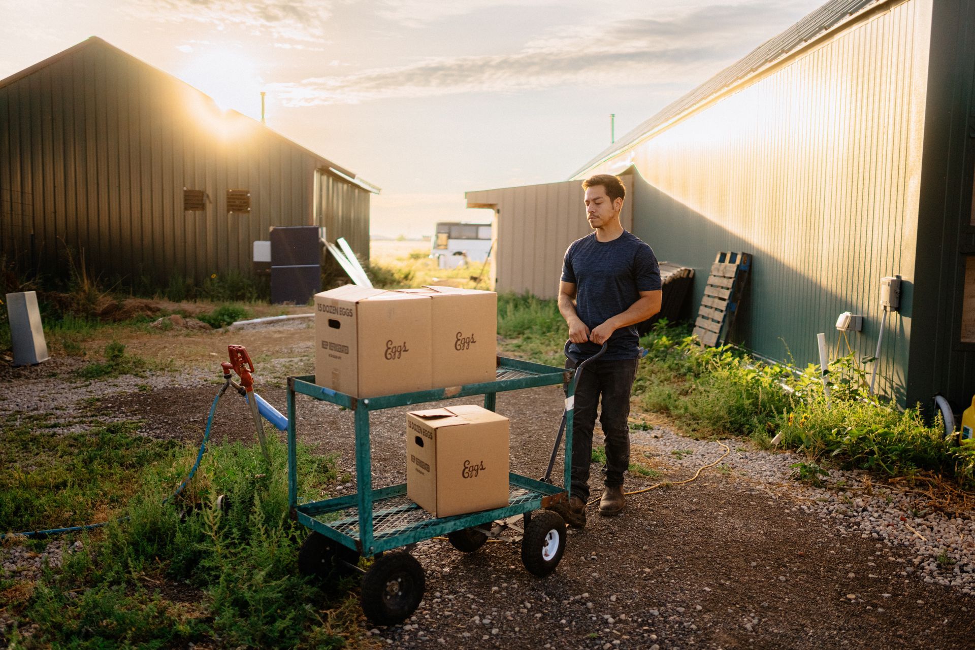 Man pulls a cart with boxes between two buildings in a rural setting, with sunlight.