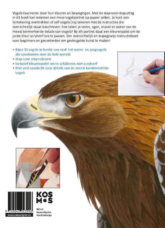 Andrew Forkner; Vogels tekenen en schilderen