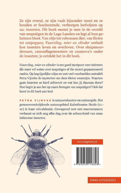 Petra Vijncke; Vuurvlieg, mier en vlinder