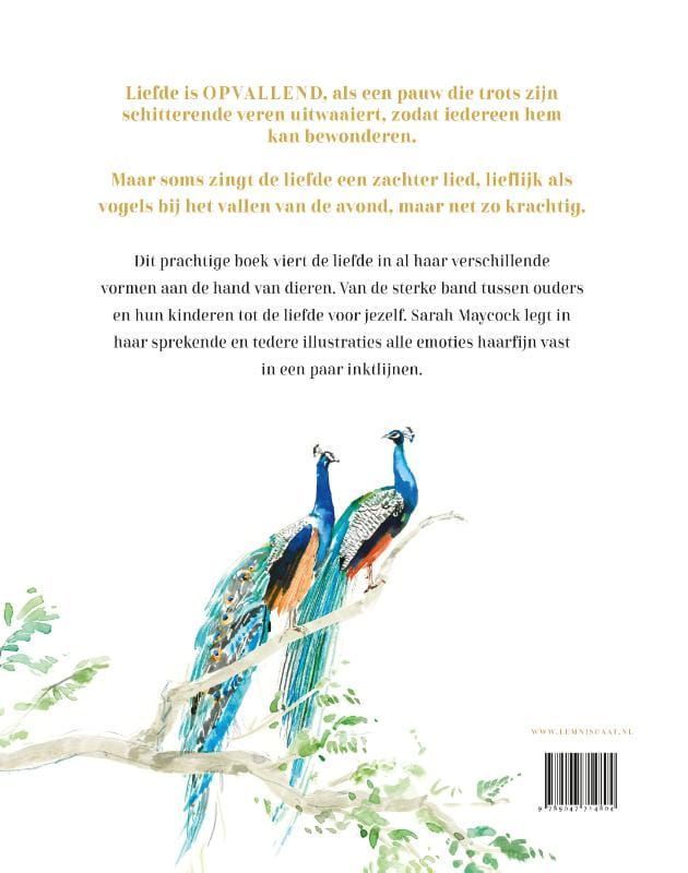 Lily Murray; Liefde is...