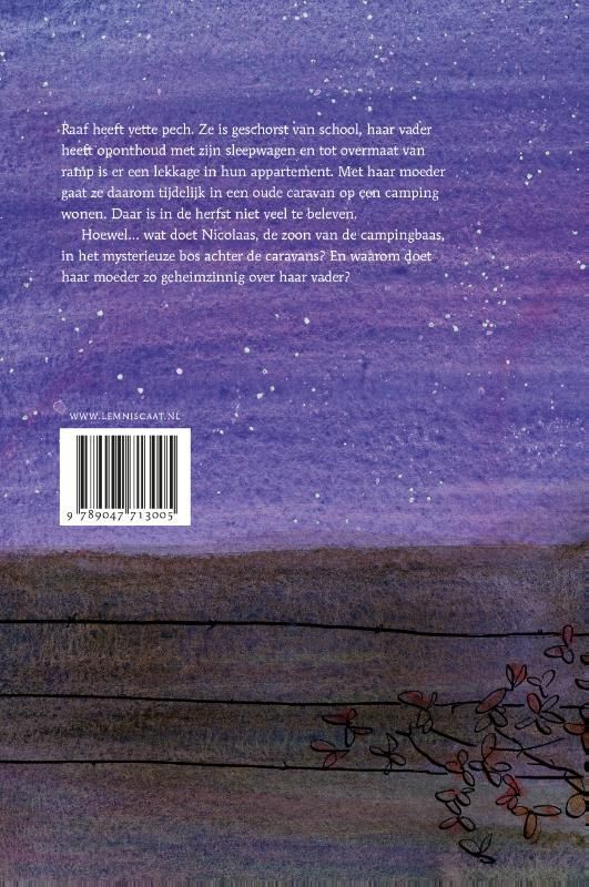 Annejan Mieras; Het kleine heelal