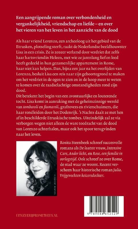 Rosita Steenbeek; Schimmenrijk