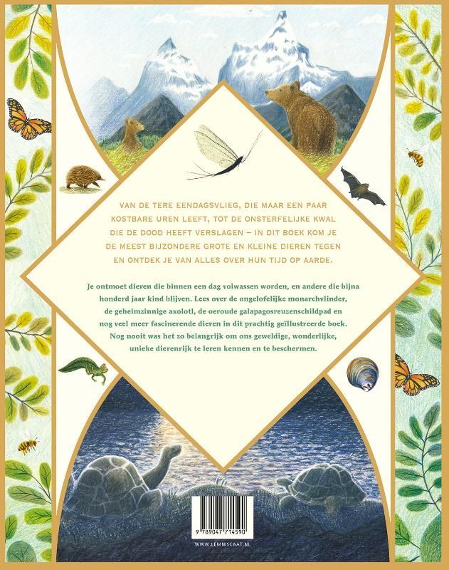 Lily Murray; Onze tijd op aarde