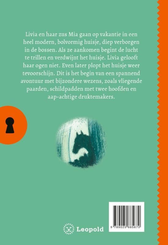 Rian Visser; Het geheim van het verdwenen huis