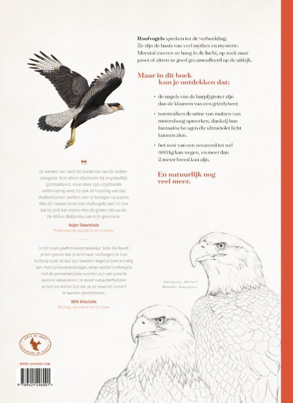 Walter de Raedt; Roofvogels