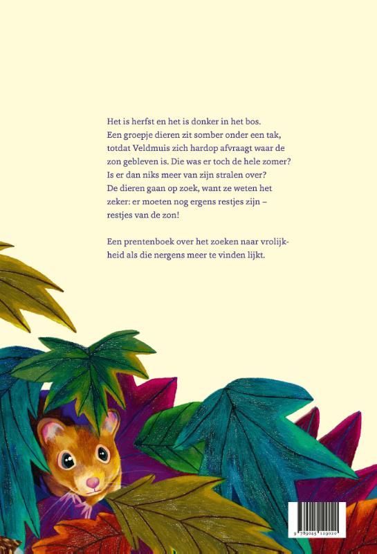 Edward van de Vendel; De restjes van de zon