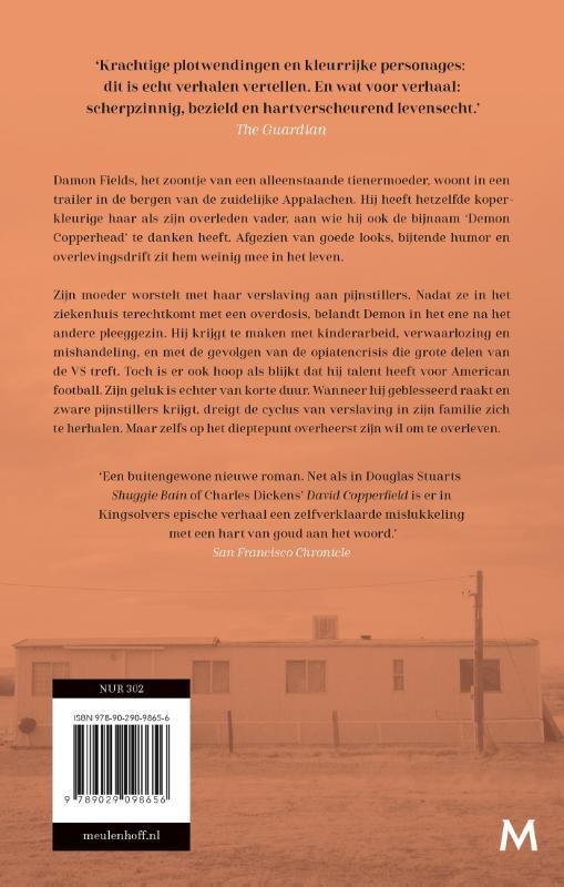 Barbara Kingsolver; Demon Copperhead