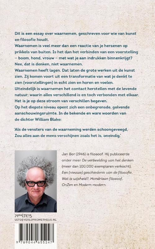 Jan Bor; Waarnemen
