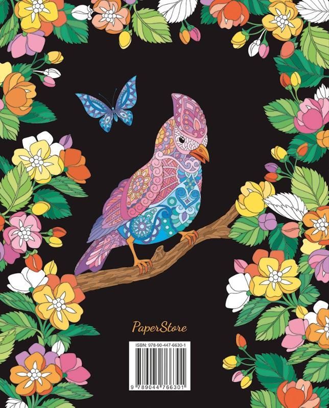 Lovely Birds Kleurboek