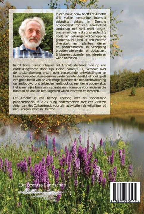 Eef Arnolds; Schepping