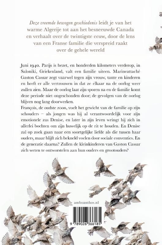 Claire Messud; Deze vreemde bewogen geschiedenis