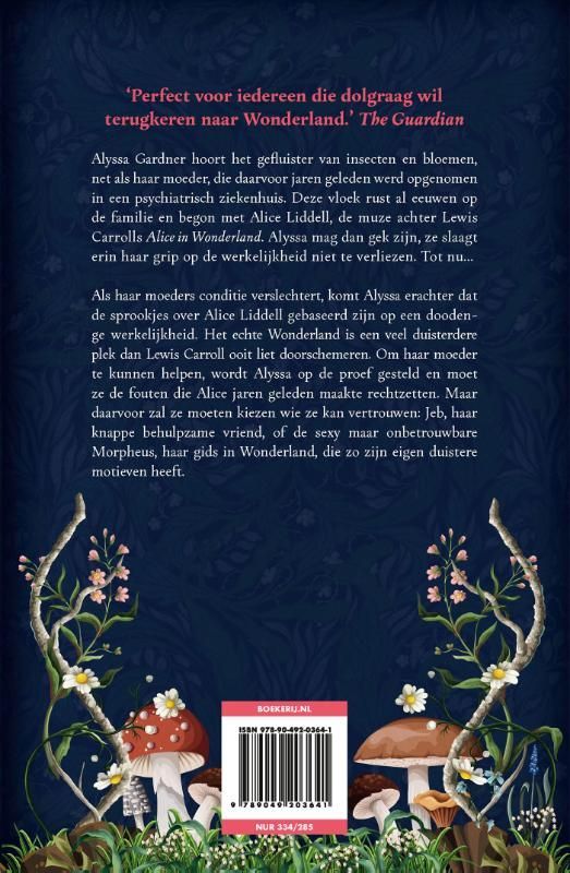 A.G. Howard; Versplinterd