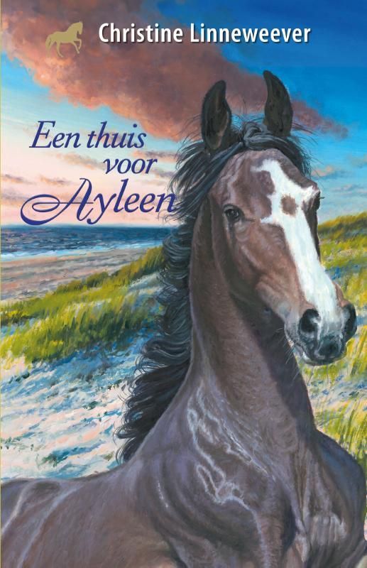 Christine Linneweever; Een thuis voor Ayleen