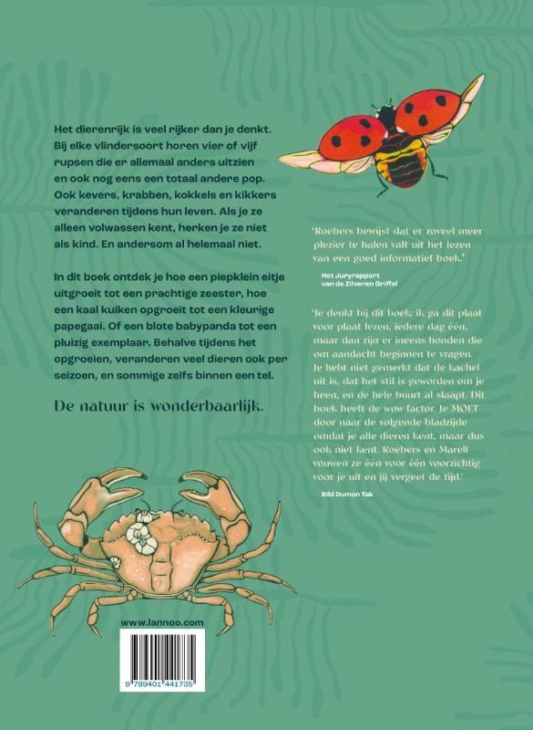 Geert-Jan Roebers; Metamorfose