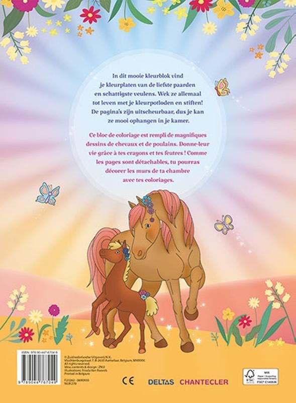 ZNU; Ik hou van paarden kleurblok / J'aime les chevaux bloc de coloriage