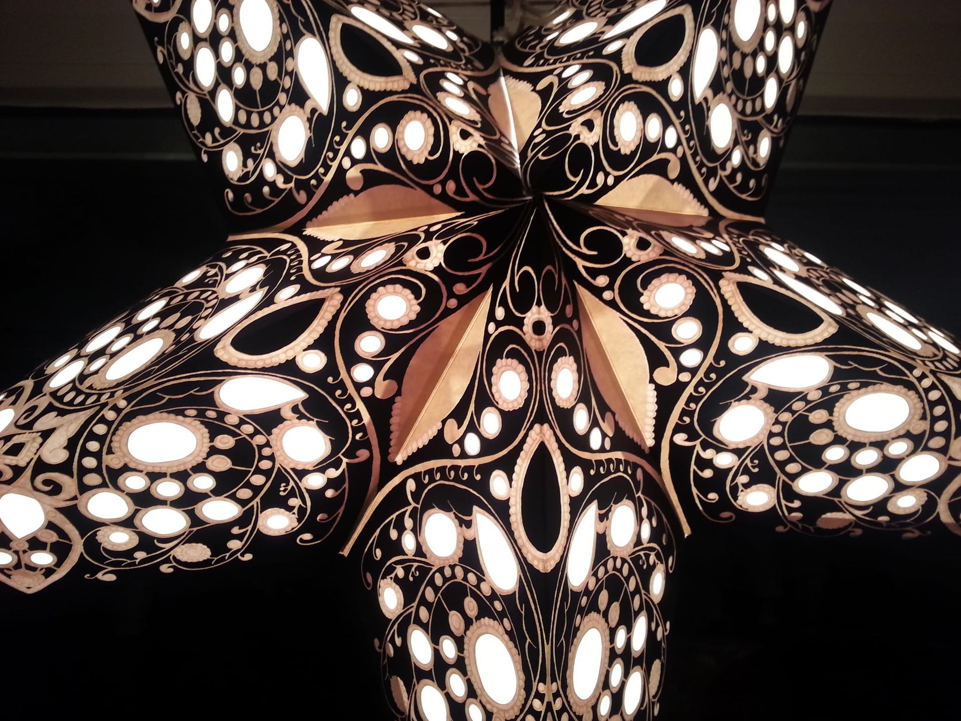 Ster Starlightz:  Rani Black