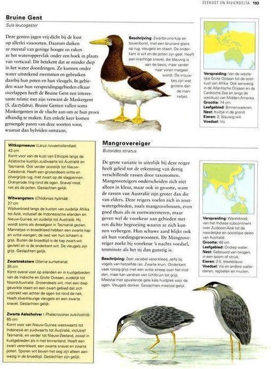 David Alderton; Minibijbel Vogels