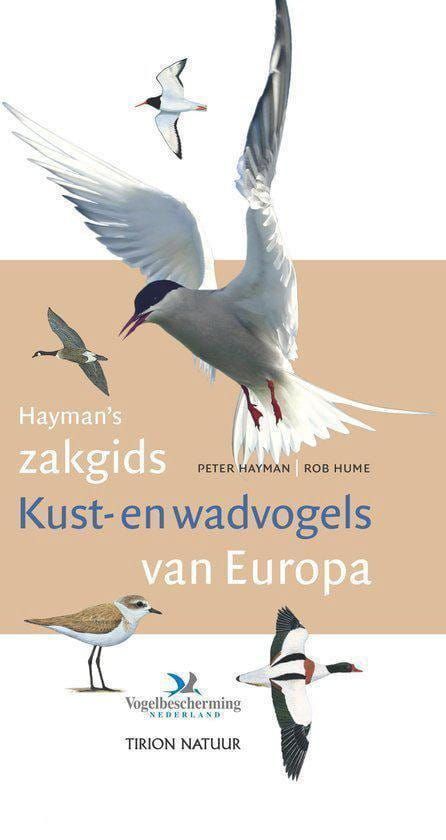 Vogelbescherming; Hayman's zakgids Kust- en wadvogels van Europa