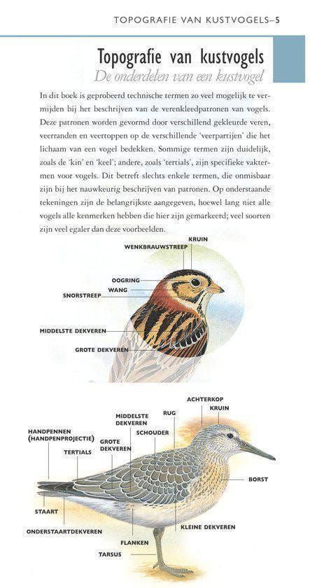 Vogelbescherming; Hayman's zakgids Kust- en wadvogels van Europa