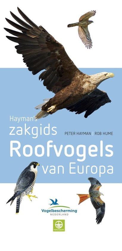 Vogelbescherming; Hayman's zakgids Roofvogels van Europa