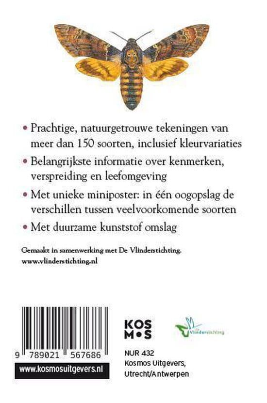 Compactgids Vlinders