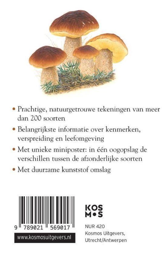 Compactgids Paddenstoelen