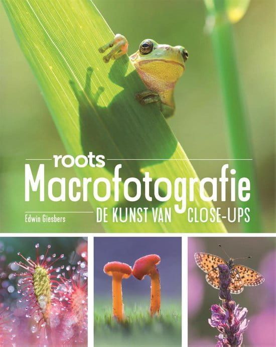 Edwin Giesbers; Roots Macrofotografie