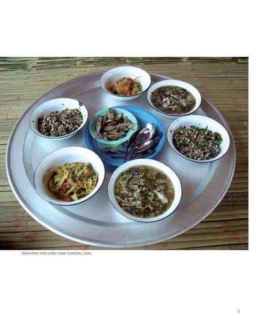 Arnold van Huis; Het Insectenkookboek