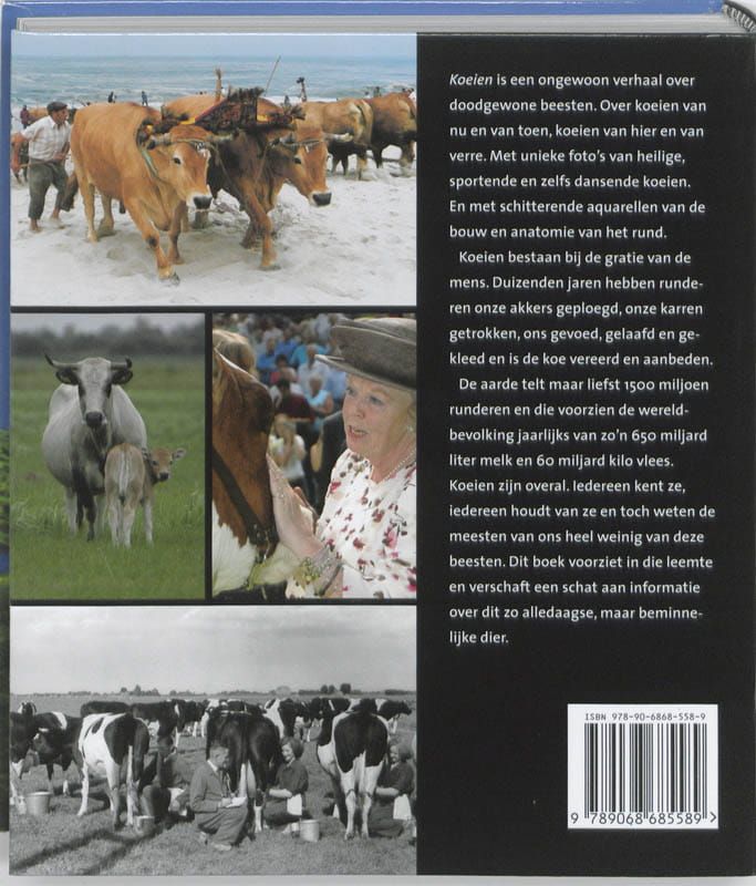 Koeien; een wonderbaarlijke reis door de wereld van het rund