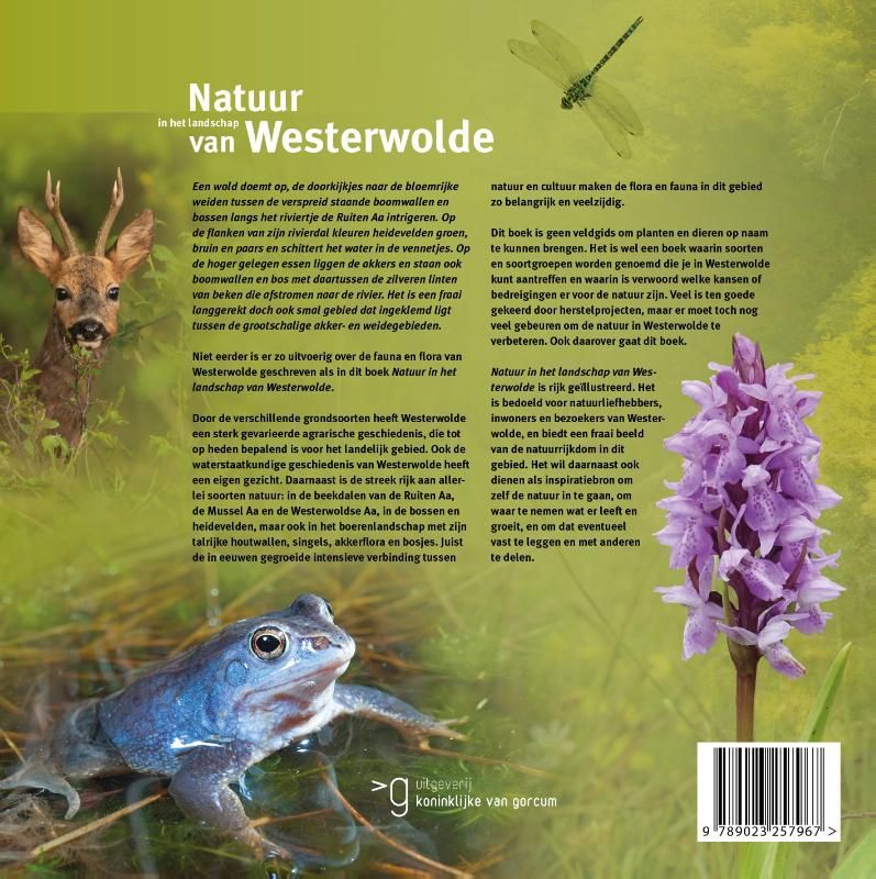 Natuur in het landschap van Westerwolde
