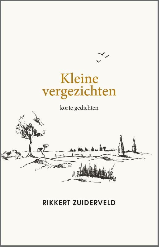 Rikkert Zuiderveld; Kleine vergezichten