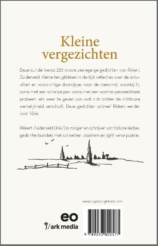 Rikkert Zuiderveld; Kleine vergezichten