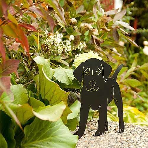 Silhouet staande pup