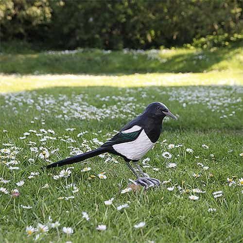 Ekster hout/ handgemaakt