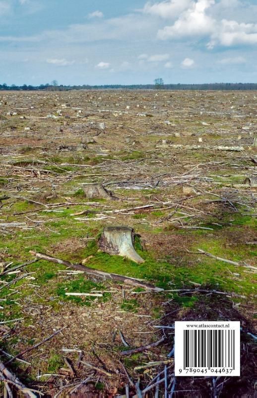 Rob Bijlsma; Kerken van goud, dominees van hout