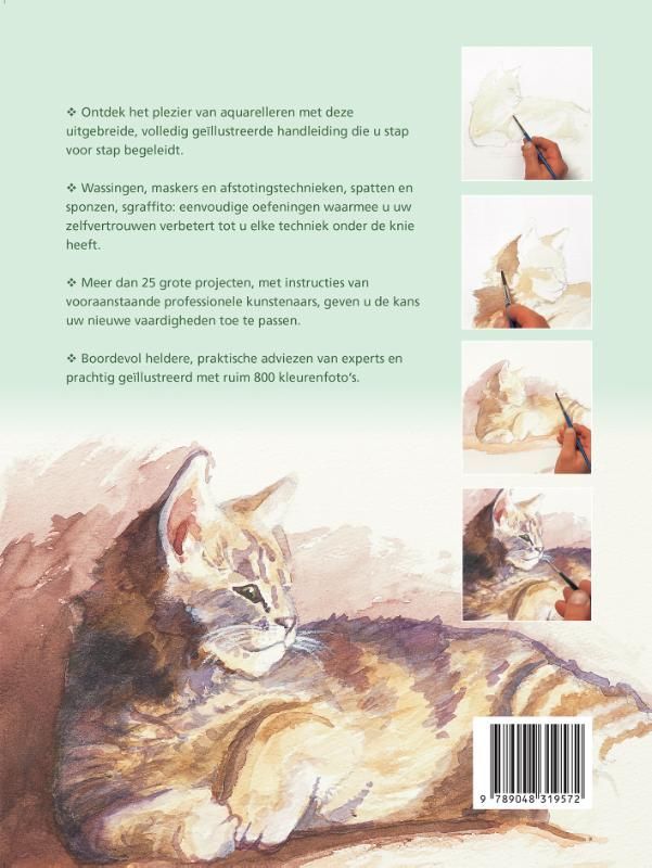 Wendy Jelbert; Aquarelleren